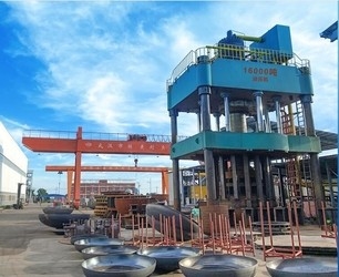 Wuhan Linmei Head Plate Co., Ltd.