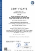 КИТАЙ Wuhan Linmei Head Plate Co., Ltd. Сертификаты